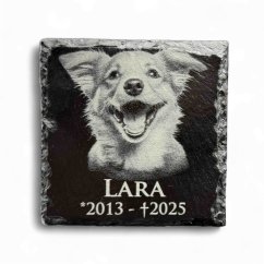 GRAVÍROVANÁ BRIDLICOVÁ TABUĽA S FOTOGRAFIOU ZVIERATKA – PAMIATKA NA DOMÁCEHO MILÁČIKA (10 × 10 cm)