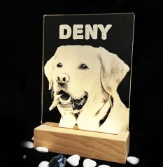 Gravirovaná fotografie s led podsvícením