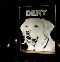 Gravírovaná fotografia s led podsvietením