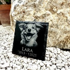 GRAVÍROVANÁ BRIDLICOVÁ TABUĽA S FOTOGRAFIOU ZVIERATKA – PAMIATKA NA DOMÁCEHO MILÁČIKA (10 × 10 cm)