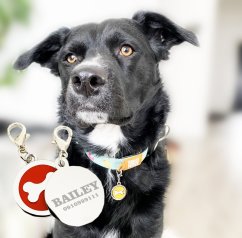 Prívesok pre psa s gravírovaním - kostička