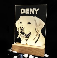 Gravírovaná fotografia s led podsvietením