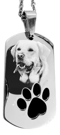 Domáci miláčikovia