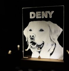 Gravirovaná fotografie s led podsvícením