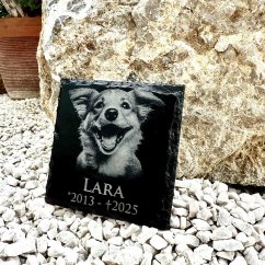 GRAVÍROVANÁ BRIDLICOVÁ TABUĽA S FOTOGRAFIOU ZVIERATKA – PAMIATKA NA DOMÁCEHO MILÁČIKA (10 × 10 cm)